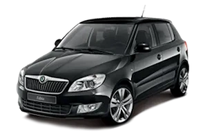 Skoda Fabia Custom ECU Remap